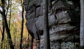 Trail Walking Berdorf - Les colonnes rocheuses de Berdorf - Photo 6