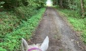 Trail Horseback riding Saint-Martin - Petit tour autour de la maison Vispa  - Photo 3