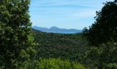 Tocht Stappen Roquebrune-sur-Argens - 20190612 Bougnon rando réelle  - Photo 4