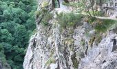 Randonnée Marche Thuès-Entre-Valls - 20220629 gorges au refuge de la Carança  - Photo 5