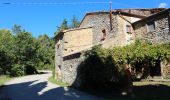 Trail On foot Arezzo - CAI 535 - Photo 1