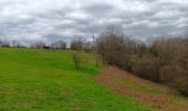 Tocht Stappen Aywaille - autour de Dieupart et Sougné sur les deux versants  - Photo 18