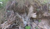 Tocht Stappen Crévoux - mon.parcours des fées : cascade de razis via le torrent / retour via le canal du meal - Photo 9