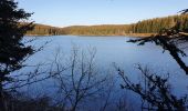 Tour Wandern Valcivières - supeyres pradeaux - Photo 1