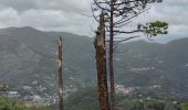 Tour Wandern Monterosso al Mare - Monterosso to Levanto - Photo 7