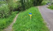 Tocht Stappen Saint-Ciergues - Tour du lac de la mouche - Photo 2