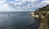 Tour Wandern Hyères - Sentier du littoral de Giens - Photo 12