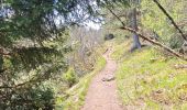 Trail Walking Orbey - lac blanc, gazon du faing, lac noir, rocher Hans, lac blanc  - Photo 8