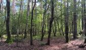 Trail Walking Genk - kettevennen genk - Photo 6