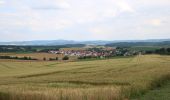 Percorso A piedi Hammersbach - Panoramaweg - Photo 2