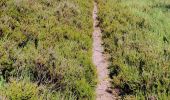 Tocht Stappen Moussey - Col de Prayé - La corbeille - Photo 1