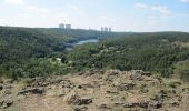 Excursión A pie Mohelno - Naučná stezka národní přírodní rezervace Mohelenská hadcová step - Photo 2