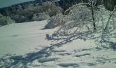 Tocht Sneeuwschoenen Pontarlier - Pontarlier Gounfay Grand Taureau 2021-01-19 CAF - Photo 9