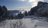 Trail Snowshoes Lans-en-Vercors - Le Belvédère des Cimes par la cabane des Ramées et retour par la Croix des Ramées  - Photo 5