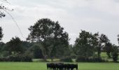 Randonnée Marche Apremont - Les 3 Châteaux d'Apremont - Photo 3