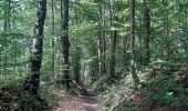 Trail Walking Pepinster - les 3 bois / cornesse  .  gofontaine  .  pepinster  .  cornesse  - Photo 16