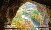 Tour Wandern Dinant - La promenade du Parc Naturel de Furfooz - Photo 10