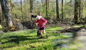 Trail Walking Le Controis-en-Sologne - ouchamps - Photo 1