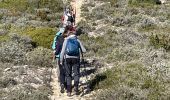 Excursión Senderismo Aureille - PF-Aureille - La Vallongue d'Aureille - MDu - Photo 20