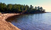 Randonnée Marche Bormes-les-Mimosas - Barrage du Trapan - Pellegrin - Photo 18