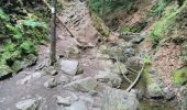 Randonnée Marche Aywaille - le Ninglinspo et et les blanches pierres  - Photo 7