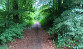 Trail Walking Spa - roche plate . pavillon Hesse . thermes . parc des 7 heures - Photo 8