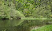 Tocht Stappen Saint-Maurice-de-Lignon - saint Maurice de Lignon Grazac - Photo 6