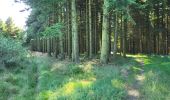 Trail Walking Trois-Ponts - logbierme 060824 - Photo 15