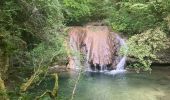 Trail Walking Marchamp - Cérin - Photo 16