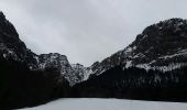 Randonnée Raquettes à neige Chichilianne - Pas de l'aiguille  - Photo 3