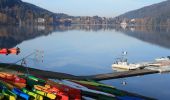 Excursión A pie Gérardmer - Sentier du Tour du Lac - Photo 4