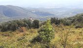 Tour Wandern Reynès - nd de Roure - Photo 9