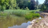 Tour Wandern Fleurus - forêt des loisirs Fleurus - Photo 7