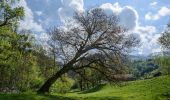 Tour Zu Fuß Irdning-Donnersbachtal - Klammrundweg - Photo 9