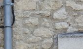Trail Walking Forcalquier - 20190513. Tour de Forcalquier à pied.  - Photo 11