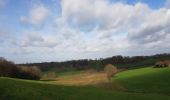 Tour Wandern Vuren - 2022-11-11_17h35m36_wandelroute-de-voerstreek-mooiste - Photo 2