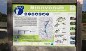 Tour Wandern Ploufragan - Bretagne - La Méaugon - Boucle autour du Gouët - Photo 20
