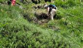 Trail Walking Lavigerie - 2024 RA Cantal Puy Mary - Photo 17