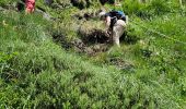 Tour Wandern Lavigerie - 2024 RA Cantal Puy Mary - Photo 17