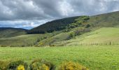 Trail Walking Pied-de-Borne - Le tour du chassezac - Photo 16