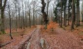 Tour Wandern Saint-Hubert - rando arville 3/12/2020 - Photo 18