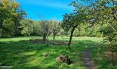 Excursión Senderismo Chamarande - Forêt Départementale du Belvédère à Chamarande - Photo 5