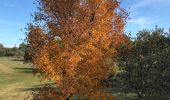 Tocht Stappen Nîmes - Clos Gaillard - Photo 5