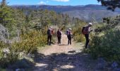 Tocht Stappen Moustiers-Sainte-Marie - moustiers_le ravin de notre dame - Photo 2