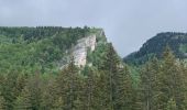 Tour Wandern Villard-de-Lans - LA CONVERSARIA 1 - Photo 1