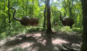 Trail Walking Canteleu - Forêt monumentale - Photo 20