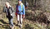 Trail Walking Coulours - Couleurs rando jc - Photo 3