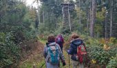 Tocht Stappen Romanswiller - Heidenschloss - Cascade Mencke via Bischofslaeger - Photo 12