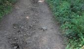 Randonnée Marche Saint-Victor-la-Rivière - LA FORET DE COURBANGES - Photo 10