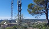 Trail Walking Gréoux-les-Bains - Les Tronnes et Antennes  - Photo 5